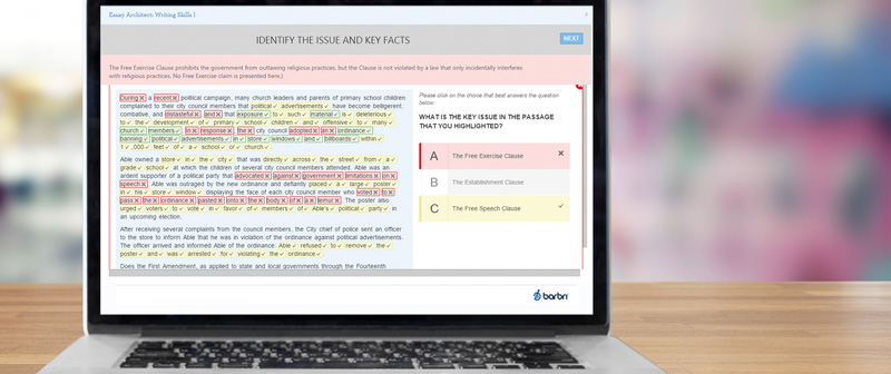 essay paragraph strategy